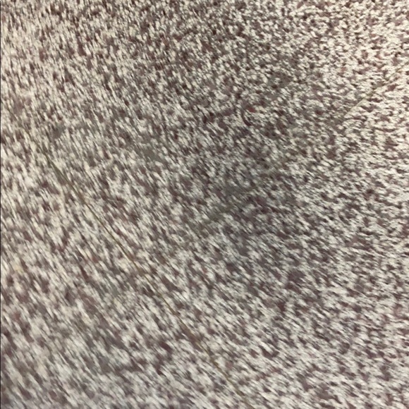 Meet your Posher, Jaidyn - Picture 1 of 1